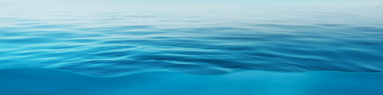 Achieve Your Goals With St. Pete Physical Therapy